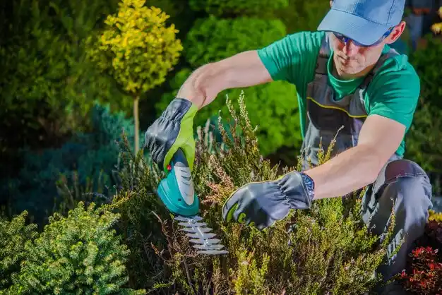 landscaping services Bunkie
